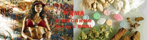 дурь Инта